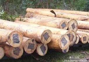 【木制品加工 建筑材料加工 包装木材加工】_